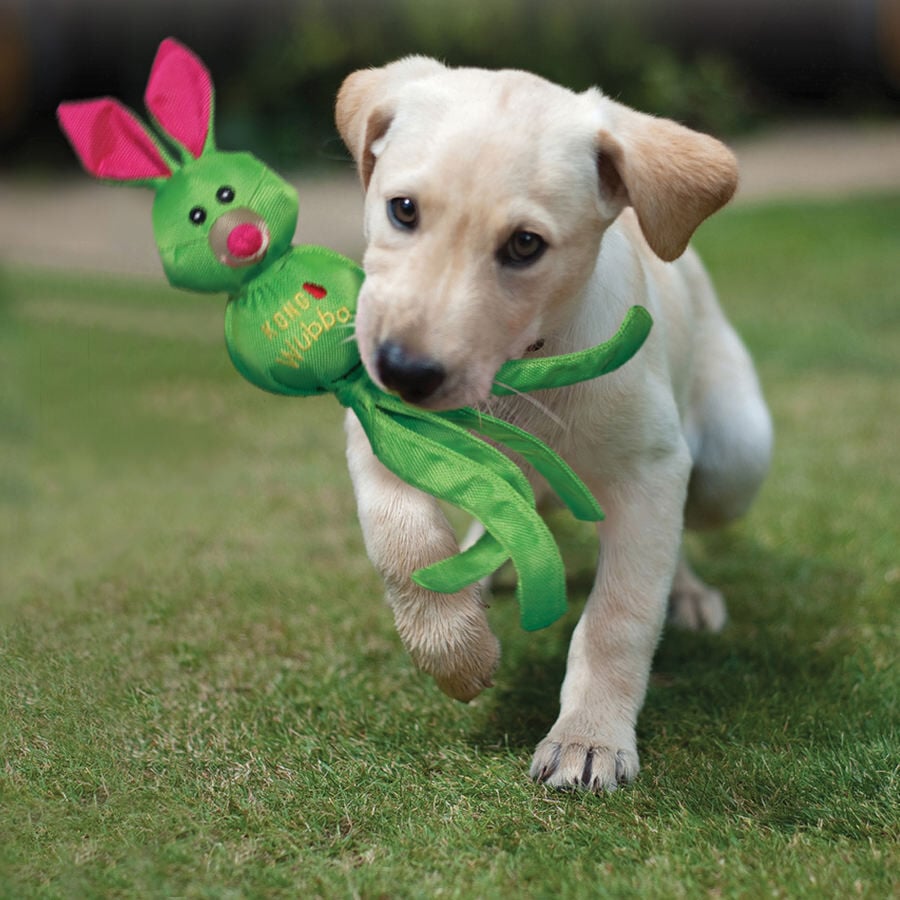 Kong Wubba Ballistic Friends juguete para perros, , large indicador imagen numero 4
